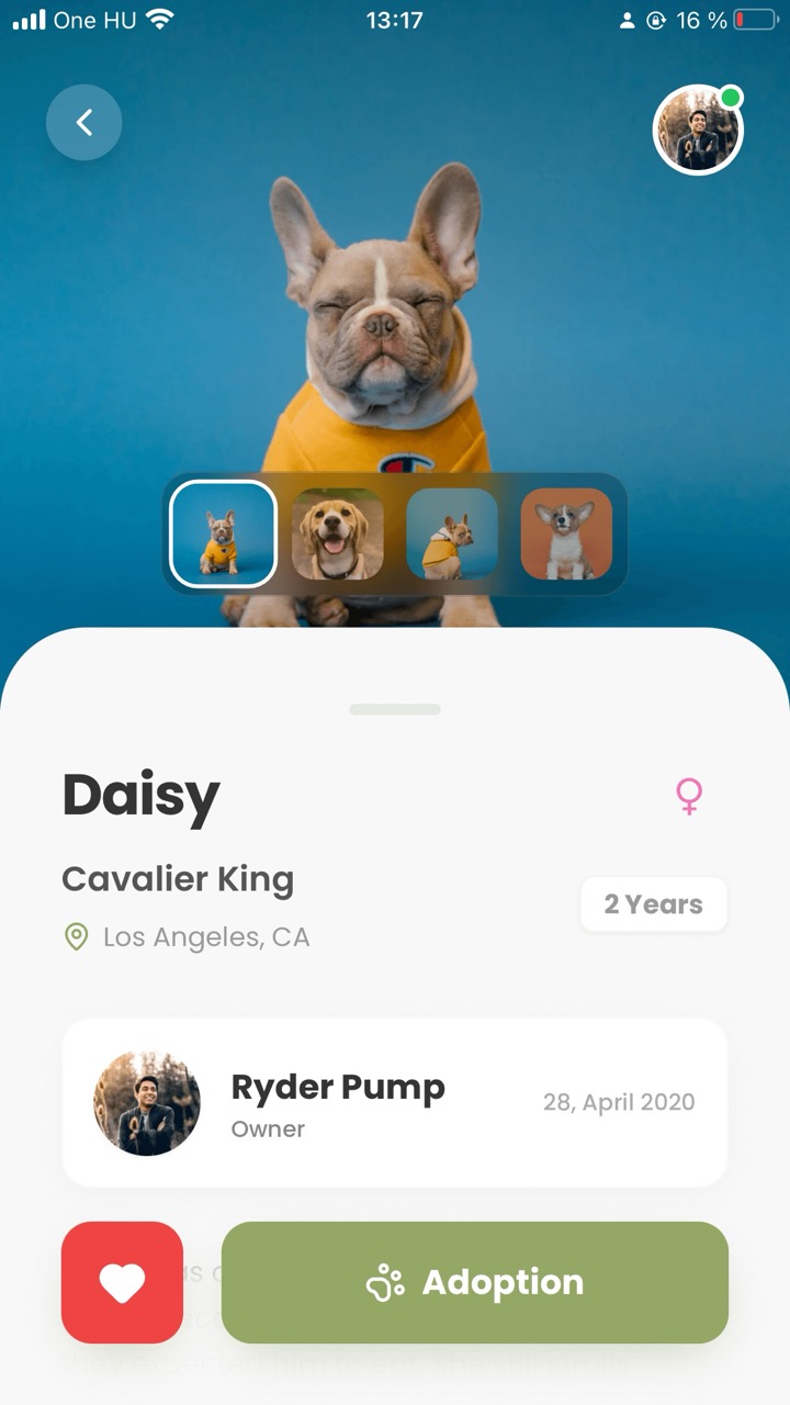 Pets Adopt — screen 5