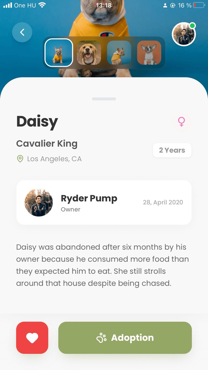 Pets Adopt — screen 6